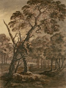 Waldszene, eine riesige schottische Kiefer und Waldlichtung, 1771